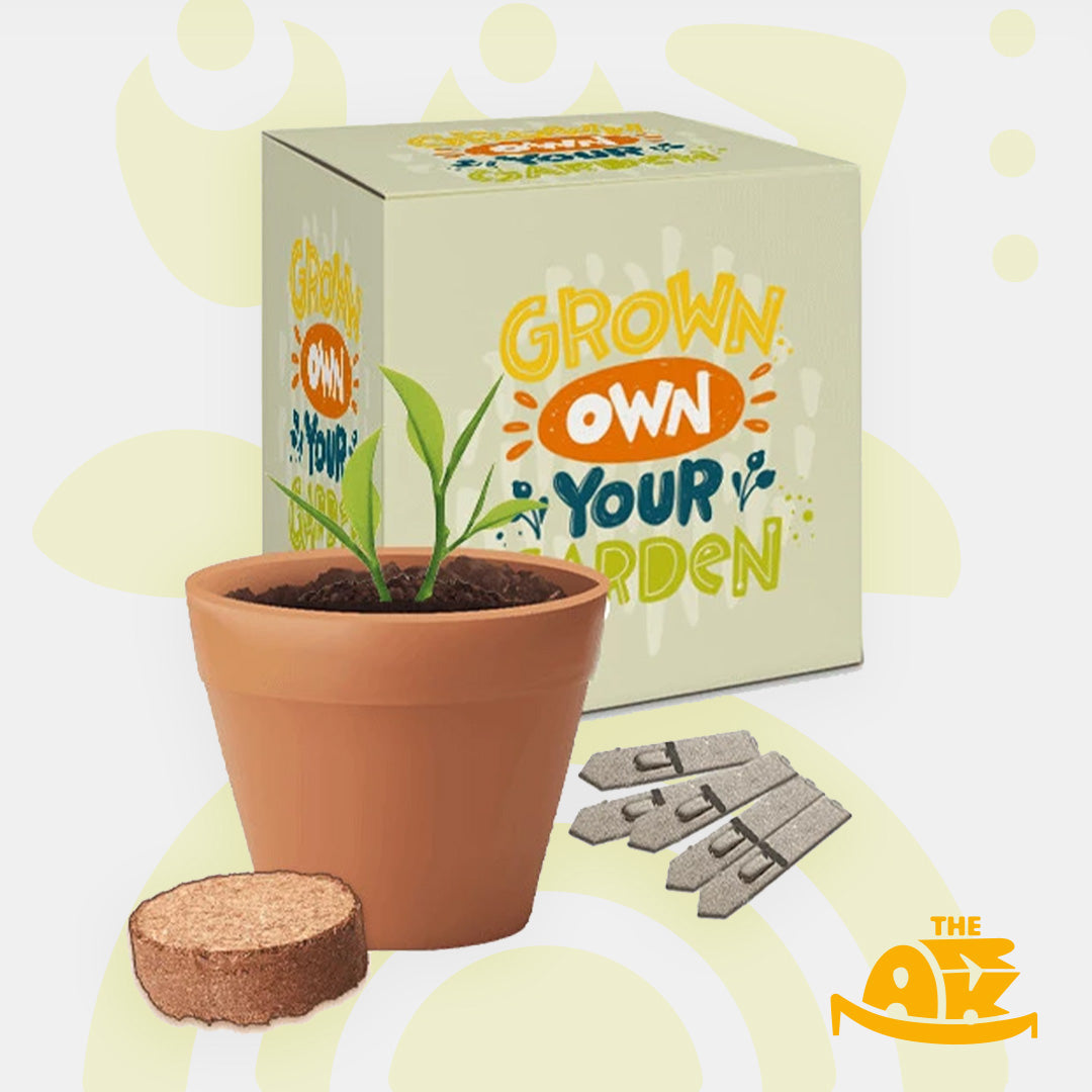 Plant Growing Activity kit (Your Words Part 2) COMING SOON